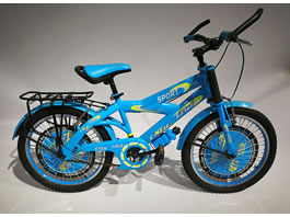 Children Bike TC-013