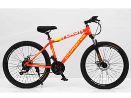 Mountain Bike MB-001