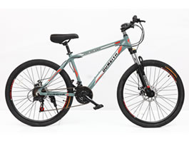 Mountain Bike MB-003