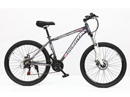 Mountain Bike MB-004