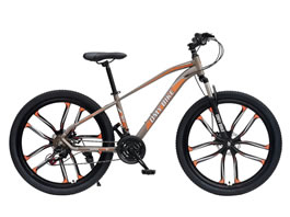 Mountain Bike MB-009