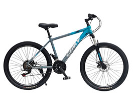 Mountain Bike MB-010