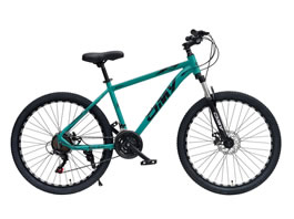 Mountain Bike MB-011