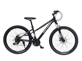 Mountain Bike MB-012