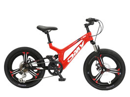 Children Bike TC-035