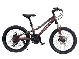 Children Bike TC-038