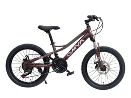 Children Bike TC-040