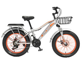 Children Bike TC-041